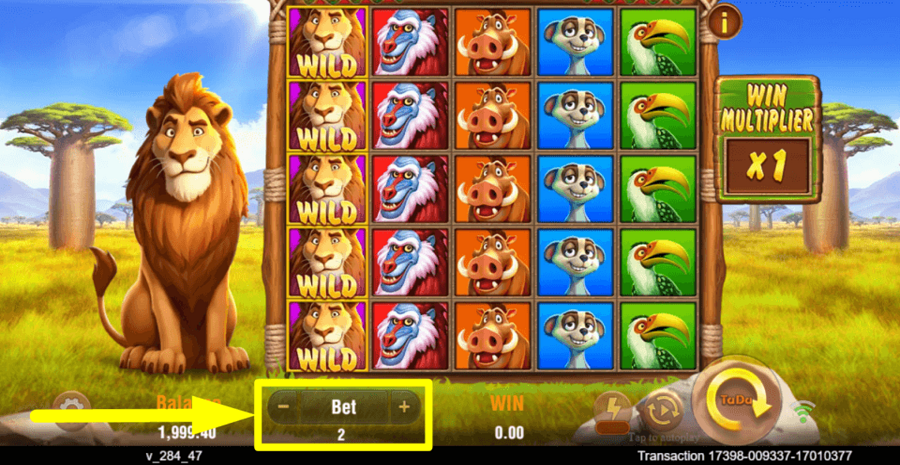 Safari Mystery Bet Value