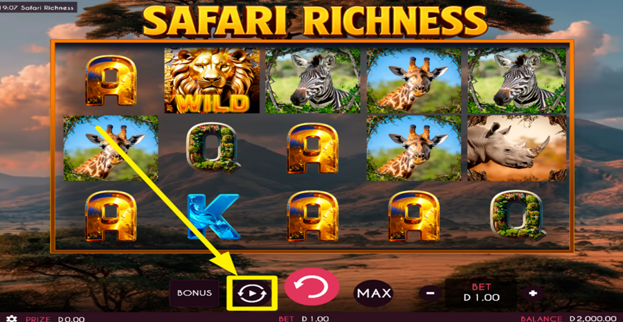 Safari Richness Autoplay