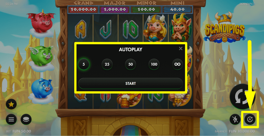 Scandipigs Autoplay Feature