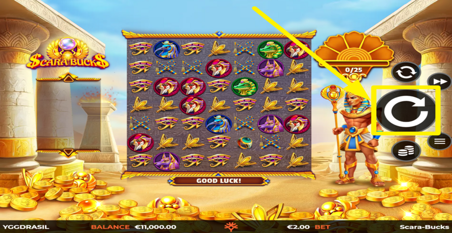 Scara Bucks Spin