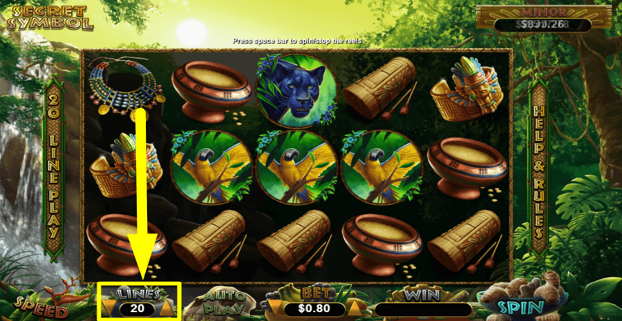 Secret Symbol Adjustable Paylines