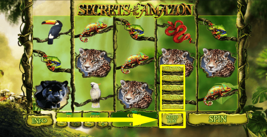 Secrets Of The Amazon Autoplay Feature