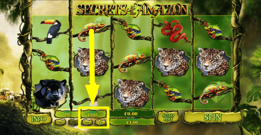 Secrets Of The Amazon Bet Value