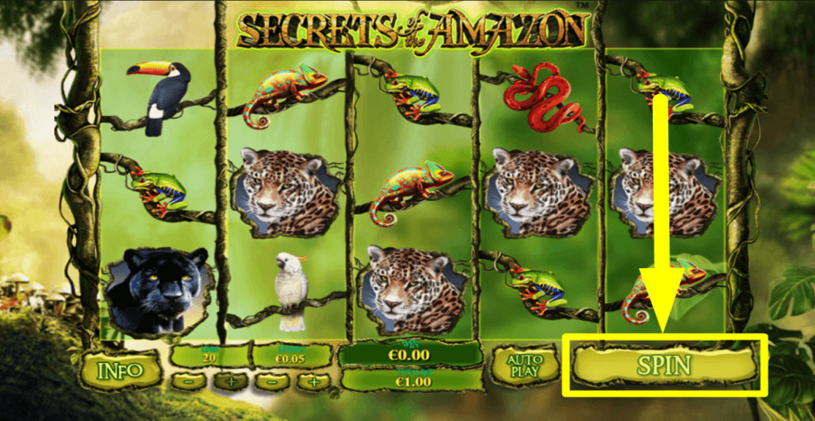 Secrets Of The Amazon Spin Button