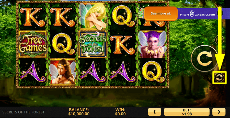 Secrets Of The Forest Autoplay Feature