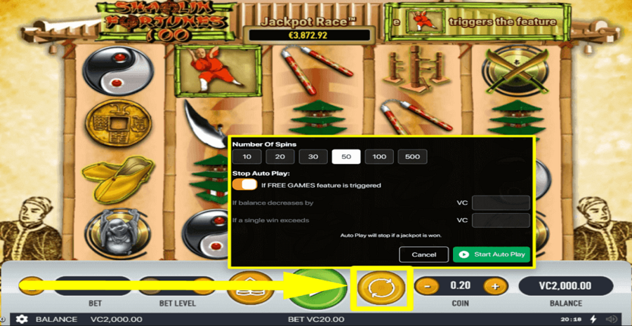 Shaolin Fortunes 100 Autoplay Feature