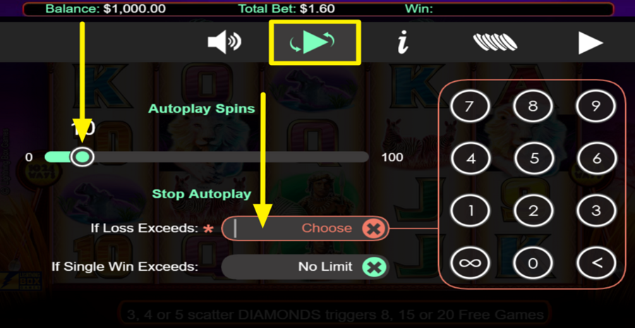Silver Lion Autoplay