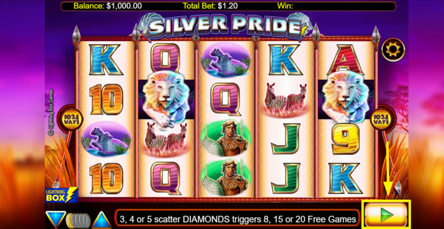 Silver Pride Spin Button