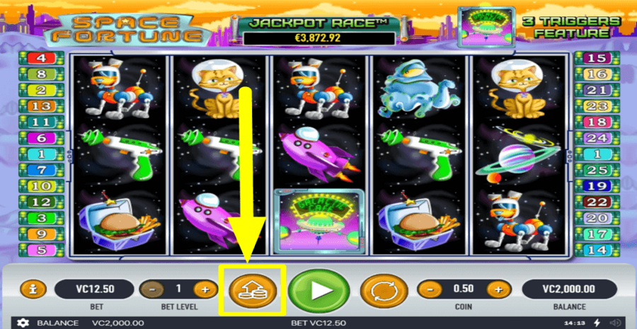 Space Fortune Max Bet