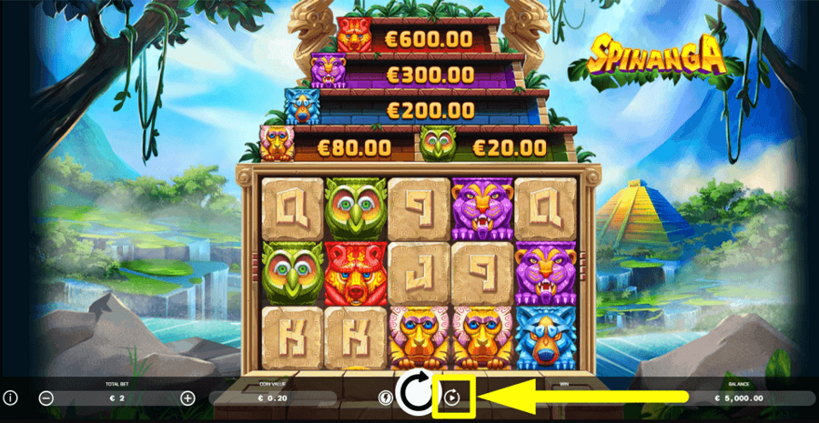 Spinanga Autoplay step2