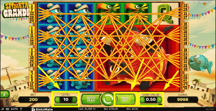 Spinata Grande Choose Bet