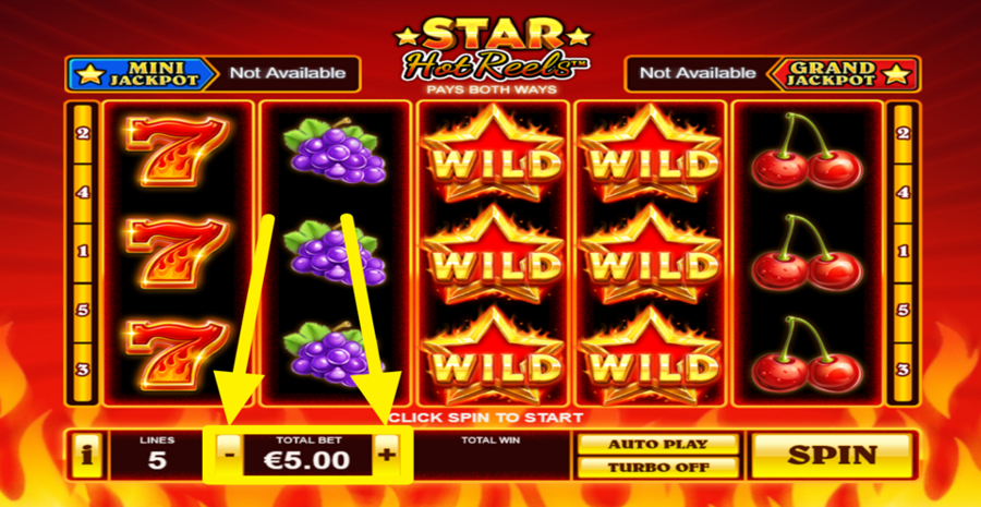 Star Hot Reels Adjust Bet