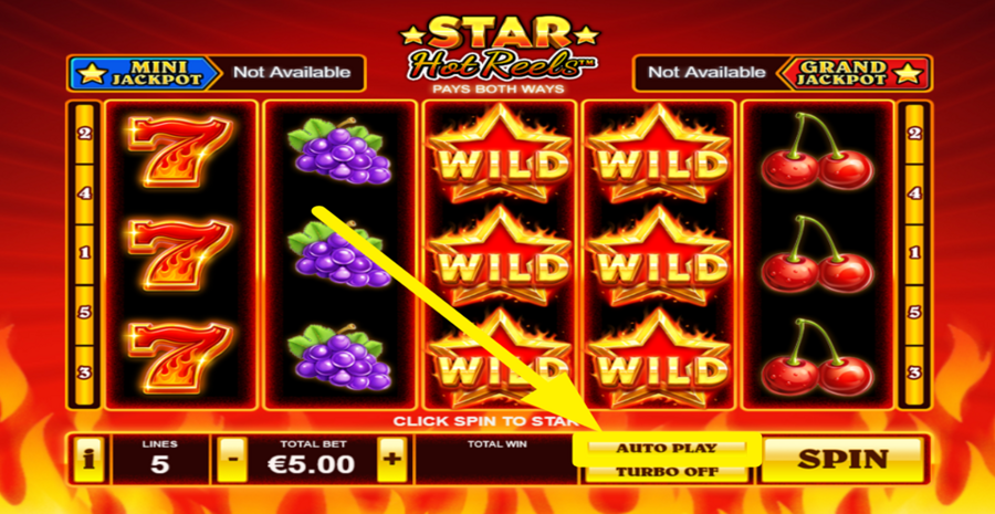Star Hot Reels Autoplay