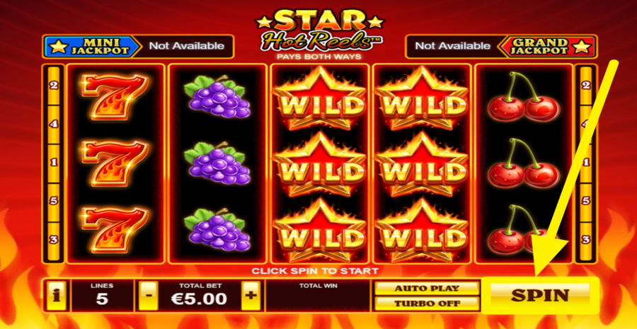 Star Hot Reels Spin