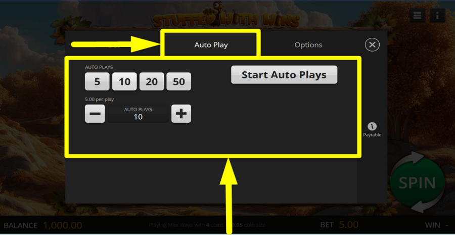 Stuffed With Wins Autoplay Feature