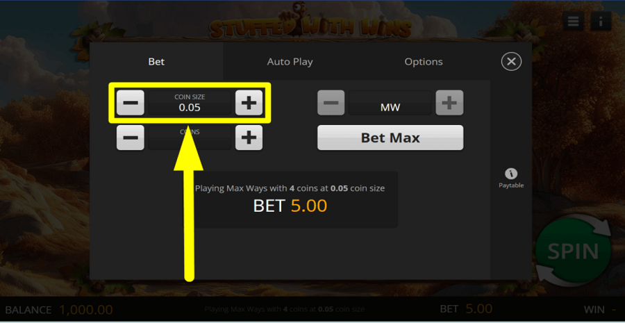 Stuffed With Wins Coin Value