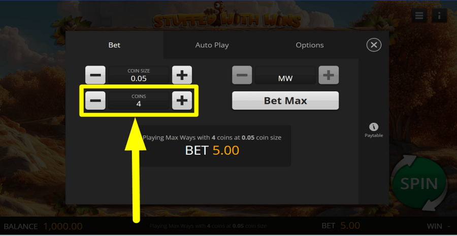 Stuffed With Wins Number Of Coins