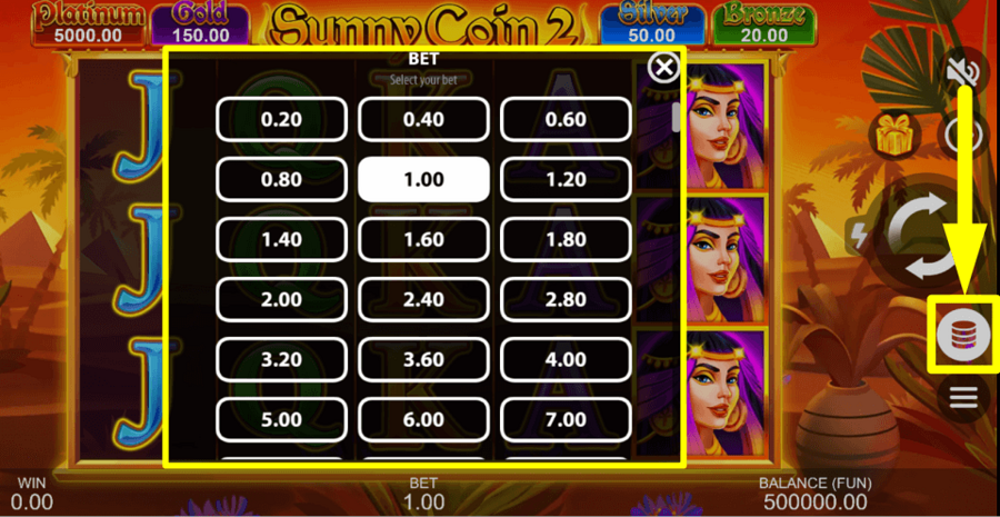 Sunny Coin 2 Hold The Spin Bet Value