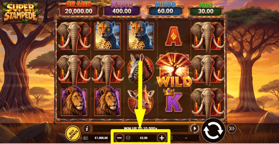 Super Stampede Bet Value