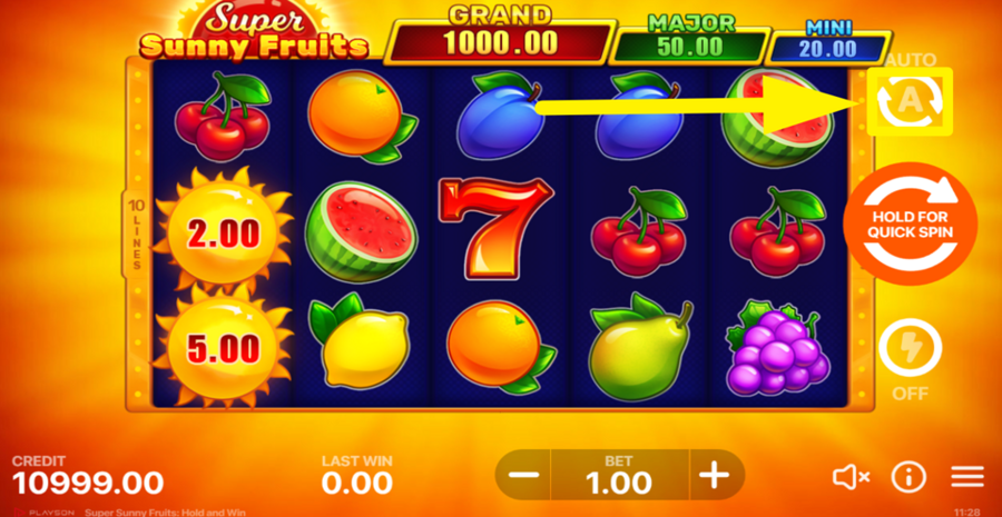 Super Sunny Fruits Hold And Win Autoplay