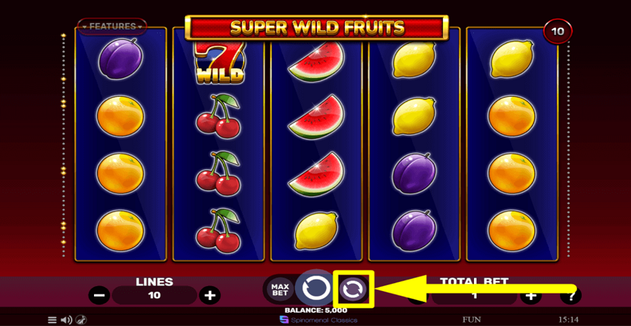 Super Wild Fruits Autoplay Feature