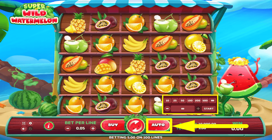 Super Wild Watermelon Autoplay Feature