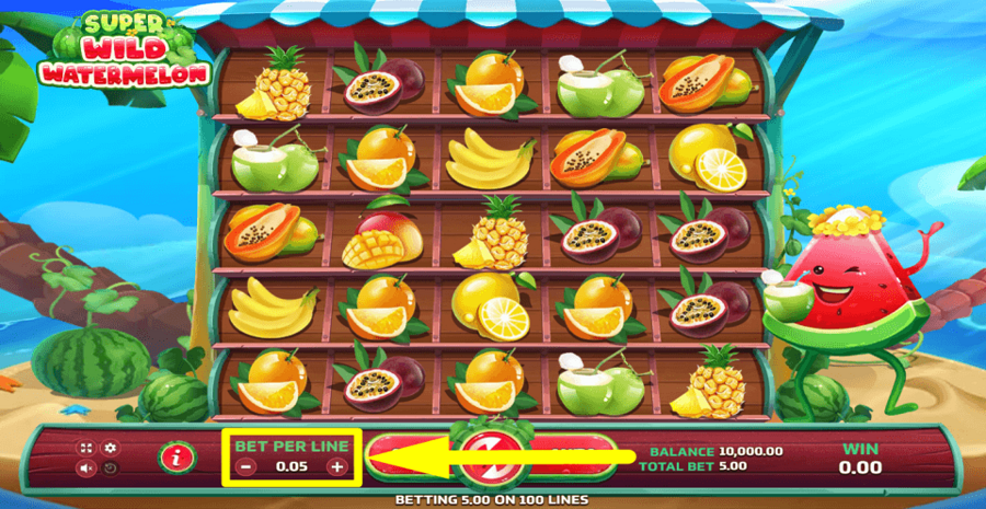 Super Wild Watermelon Bet Value