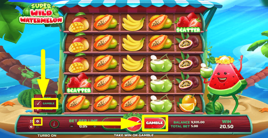 Super Wild Watermelon Gamble Feature