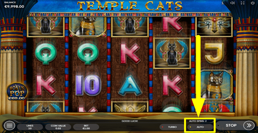 Temple Cats Autoplay Feature