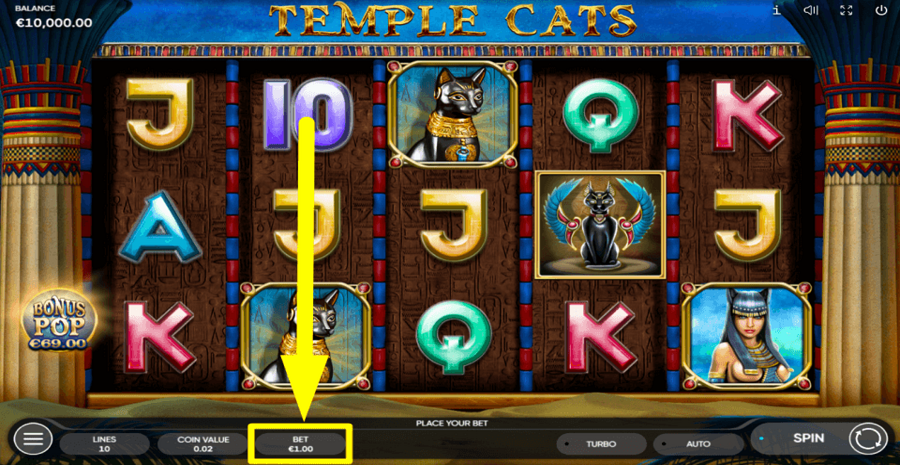 Temple Cats Bet Value