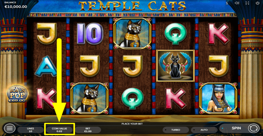 Temple Cats Coin Value