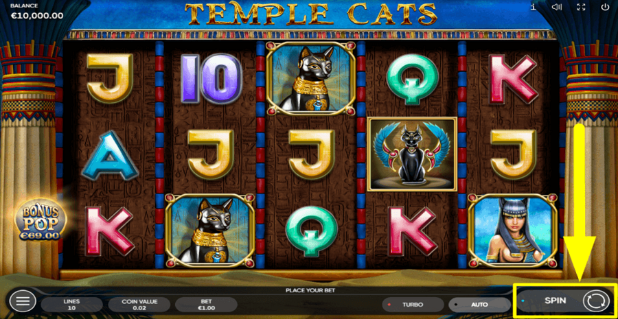 Temple Cats Spin Button