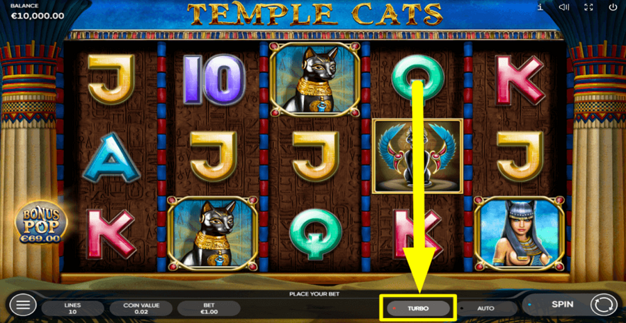 Temple Cats Turbo Feature