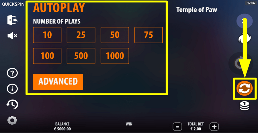Temple Of Paw Autoplay Feature