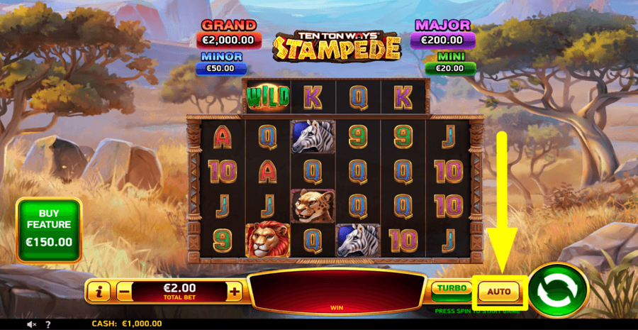 Ten Ton Ways Stampede Autoplay Feature