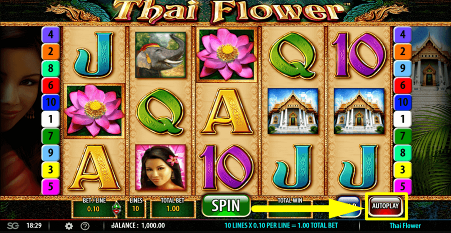 Thai Flower Autoplay Feature