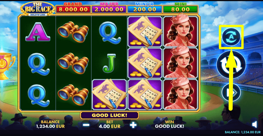 The Big Race Hold N Link Autoplay Feature