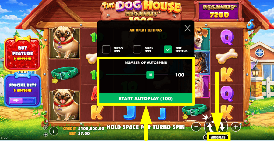The Dog House Megaways 1000 Autoplay Feature