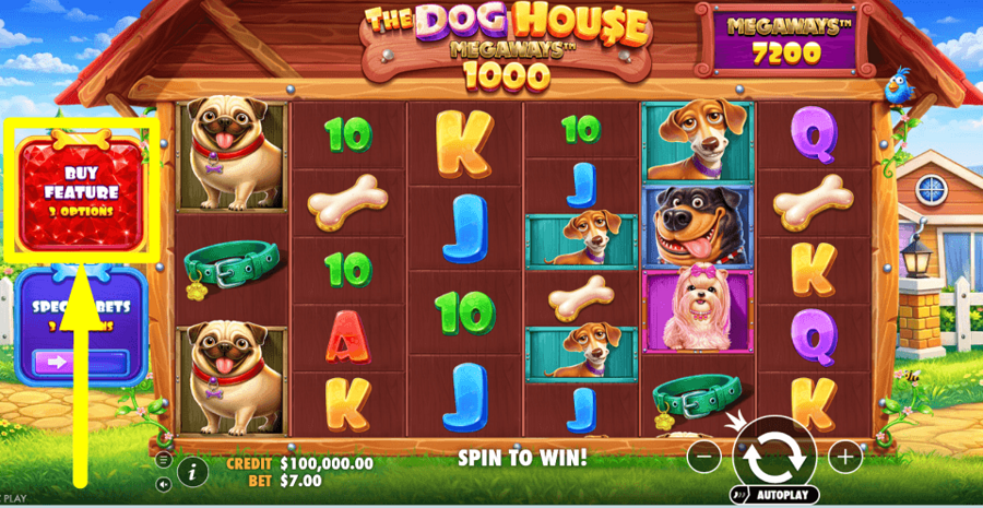 The Dog House Megaways 1000 Buy Feature