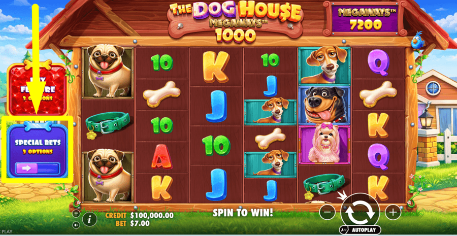The Dog House Megaways 1000 Special Bets Feature
