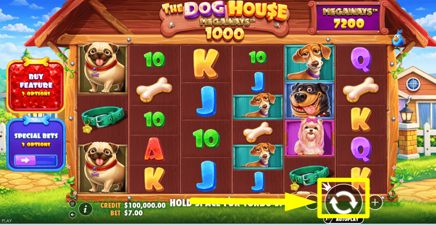 The Dog House Megaways 1000 Spin Button