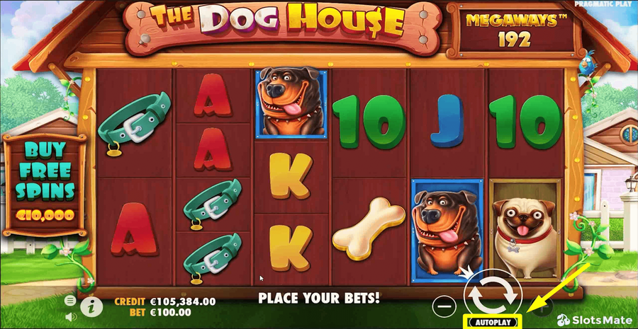 The Dog House Megaways 4