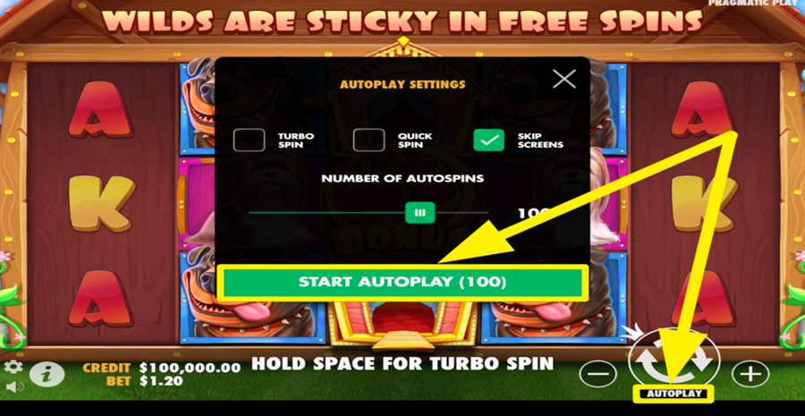 The Dog House No Dog Left Behind Autoplay