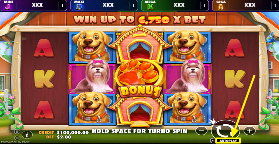 The Dog House Oranje Jackpot Autoplay