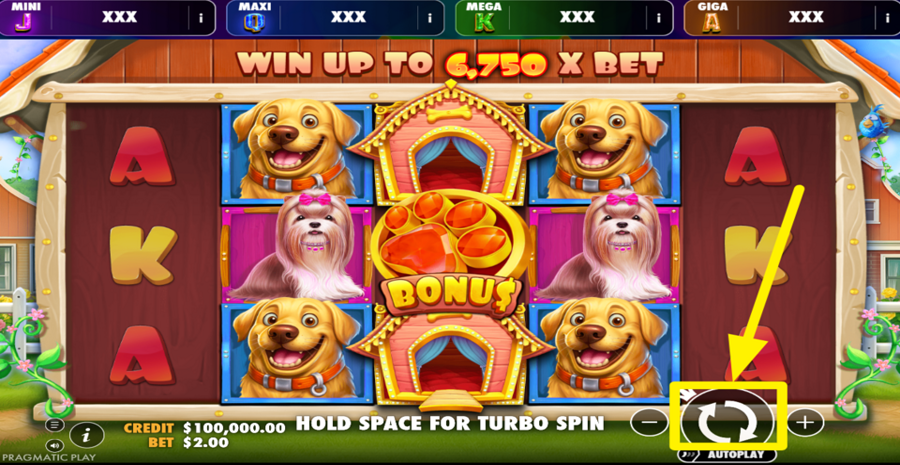 The Dog House Oranje Jackpot Spin