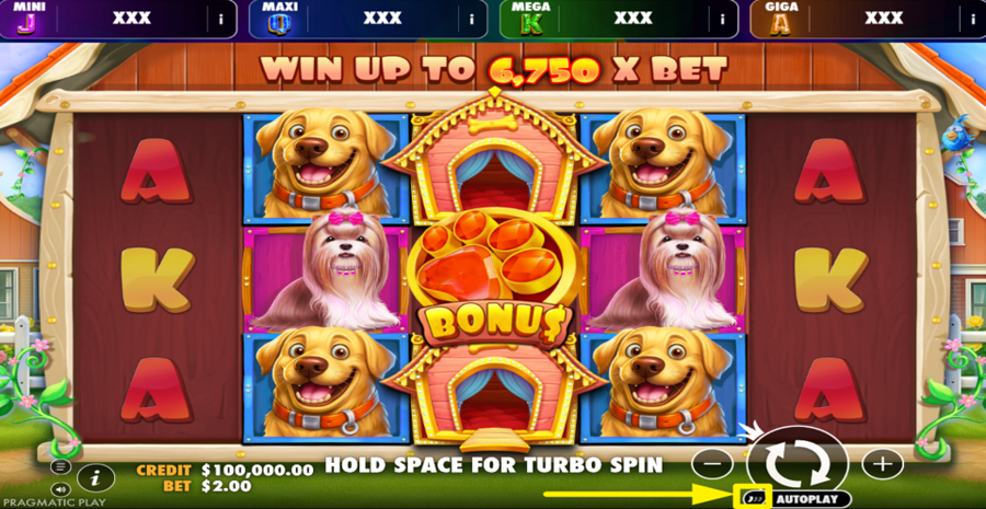 The Dog House Oranje Jackpot Turbo