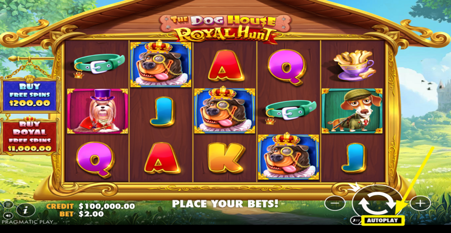 The Dog House Royal Hunt Autoplay