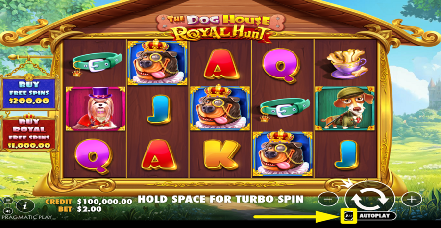 The Dog House Royal Hunt Turbo