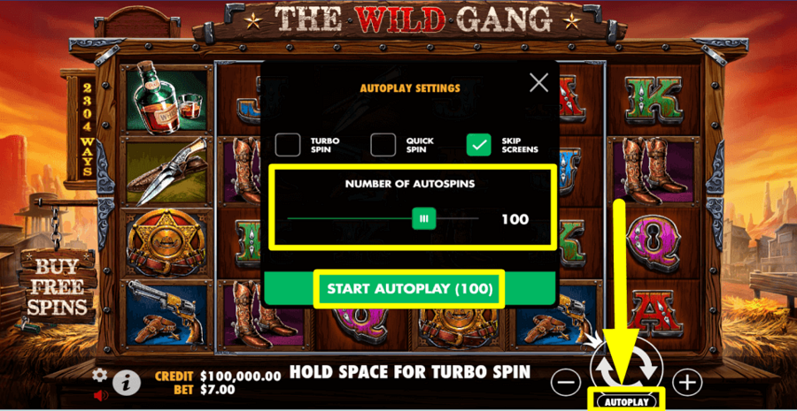 The Wild Gang Autoplay Feature