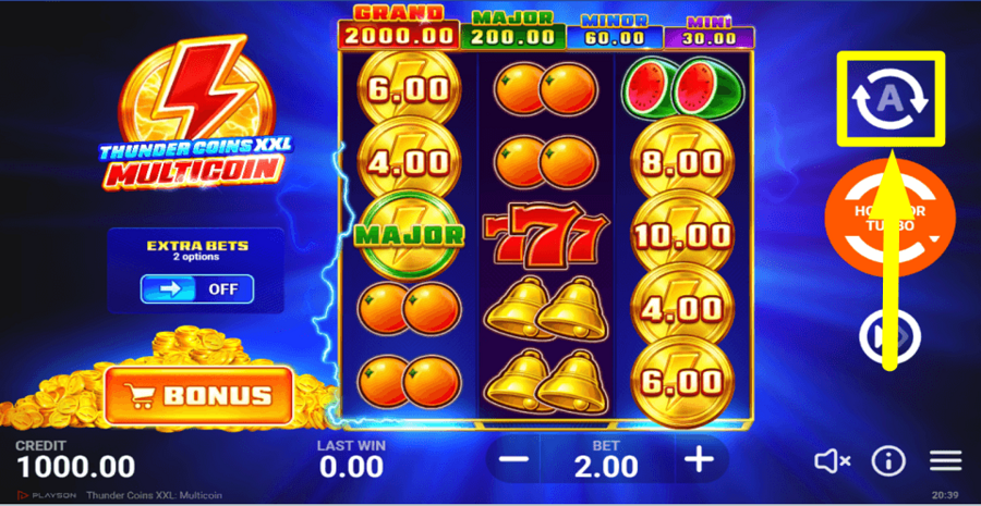 Thunder Coins Xxl Multicoin Autoplay Feature